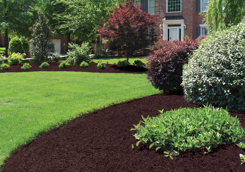 mulch-bed