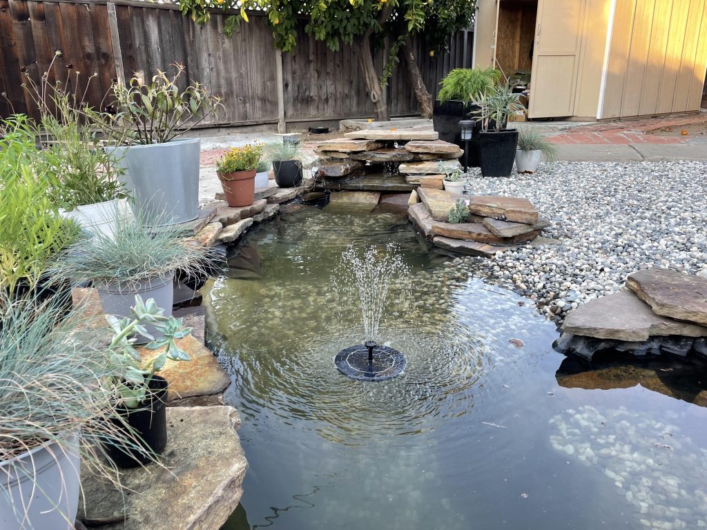 backyard - water - feature