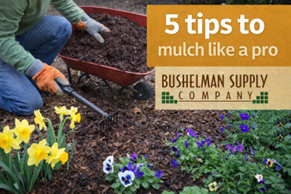 mulch-tips