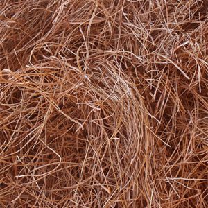 Pine-Straw